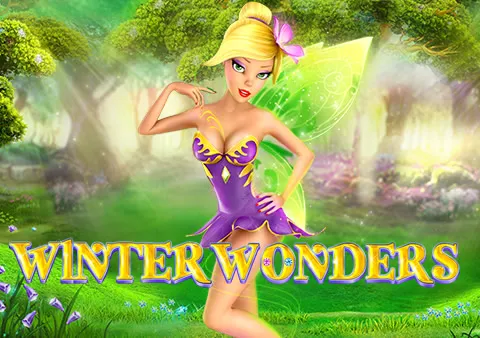 Winter Wonders